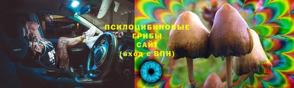 соль ск Алзамай