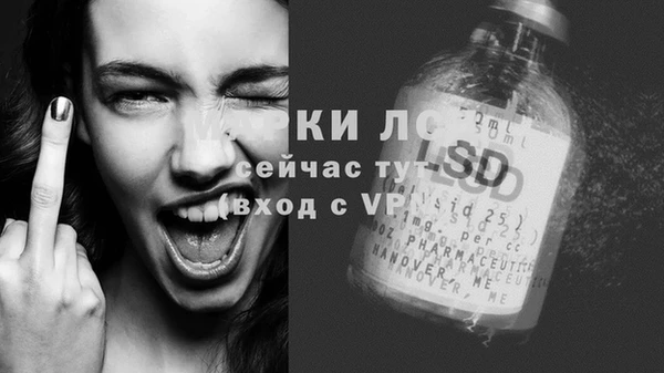 соль ск Алзамай