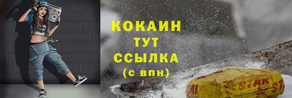 соль ск Алзамай